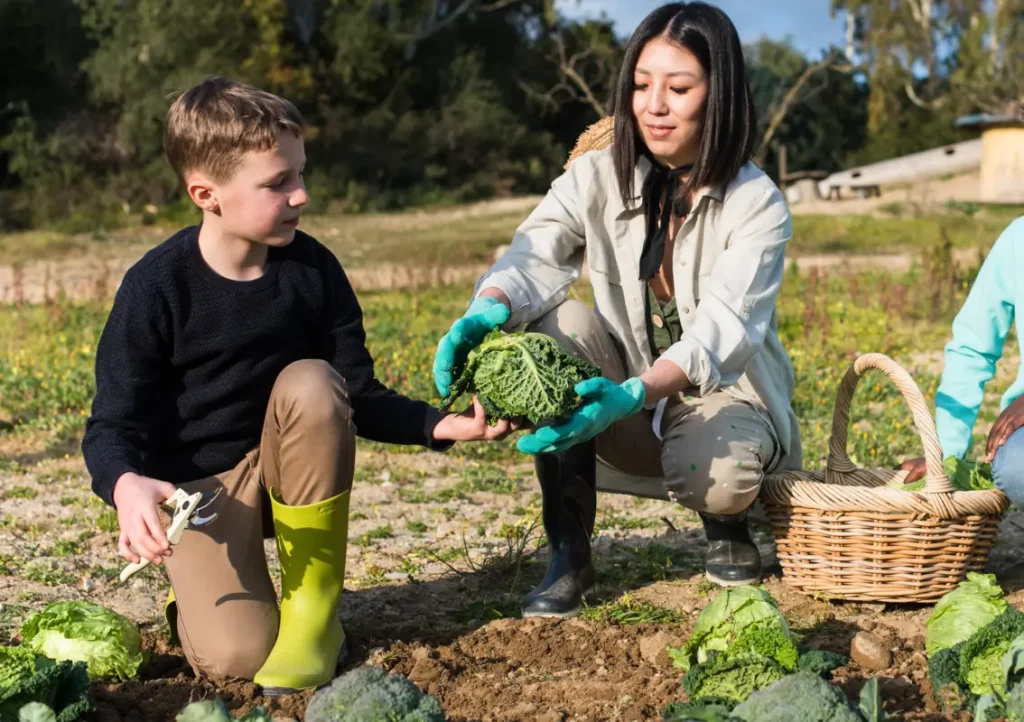 Extracurricular activities in nature - Orchard with children