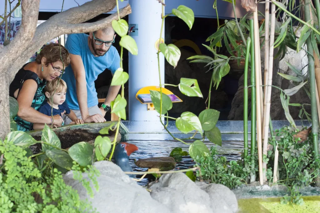 acuario barcelona - ¿Qué hacer en Barcelona en días de lluvia con niños?