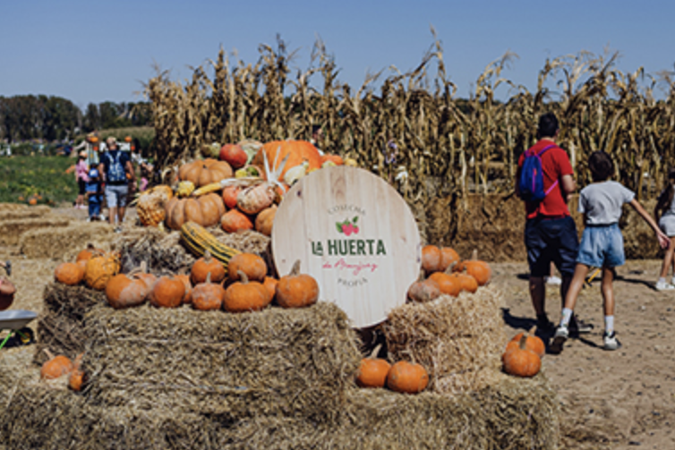 aranjuez pumpkin patch edited - Halloween activities for children in Madrid