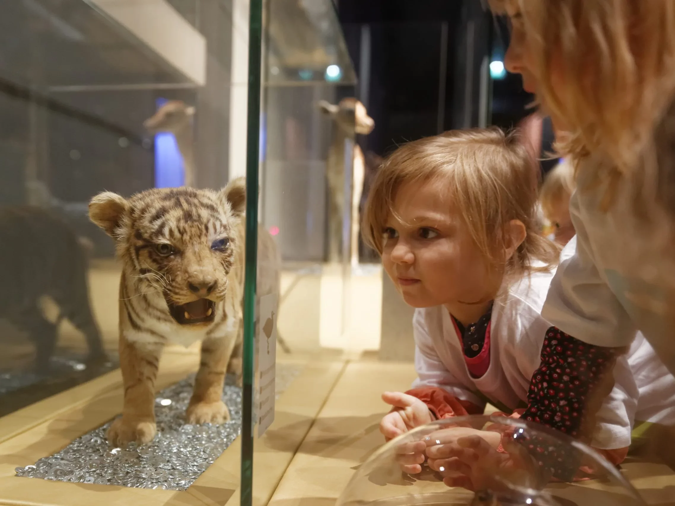 museu ciencies naturals de barcelona edited - ¿Qué hacer en Barcelona en días de lluvia con niños?