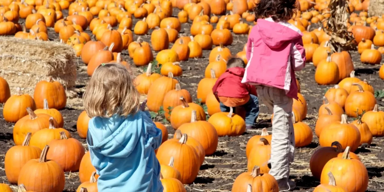 Halloween activities for children in Madrid