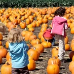 Halloween activities for children in Madrid