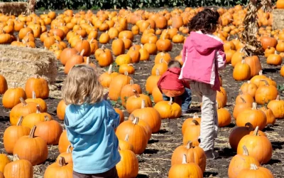 Actividades de Halloween para niños en Madrid