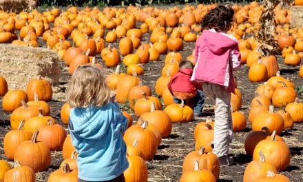 Halloween activities for children in Madrid