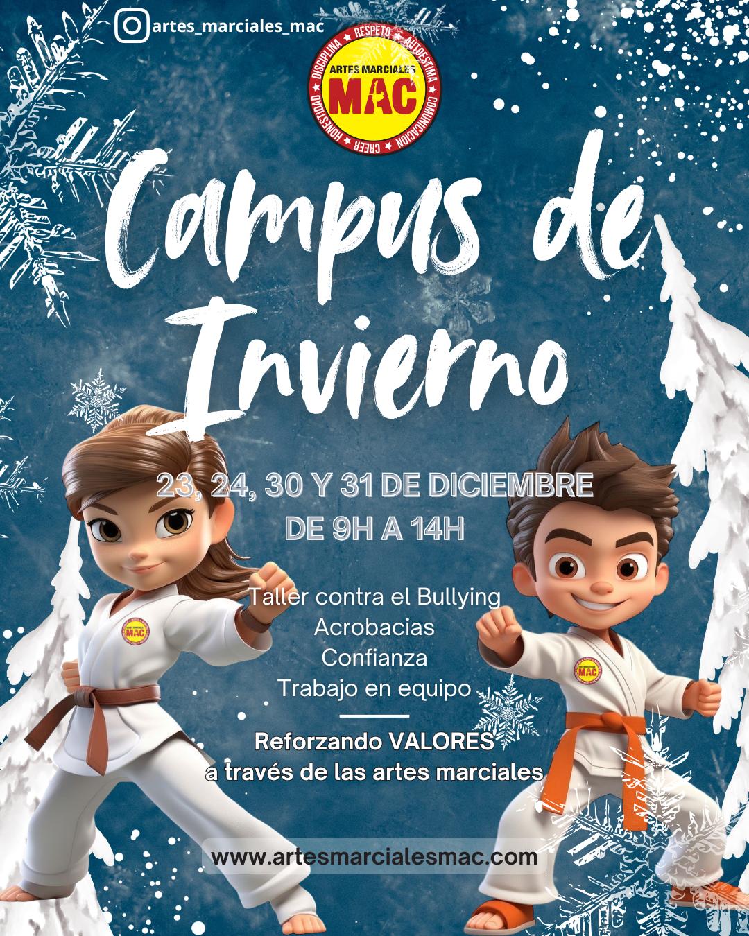 mac artes marciales campus de invierno - Actividades y planes de navidad para niños en España